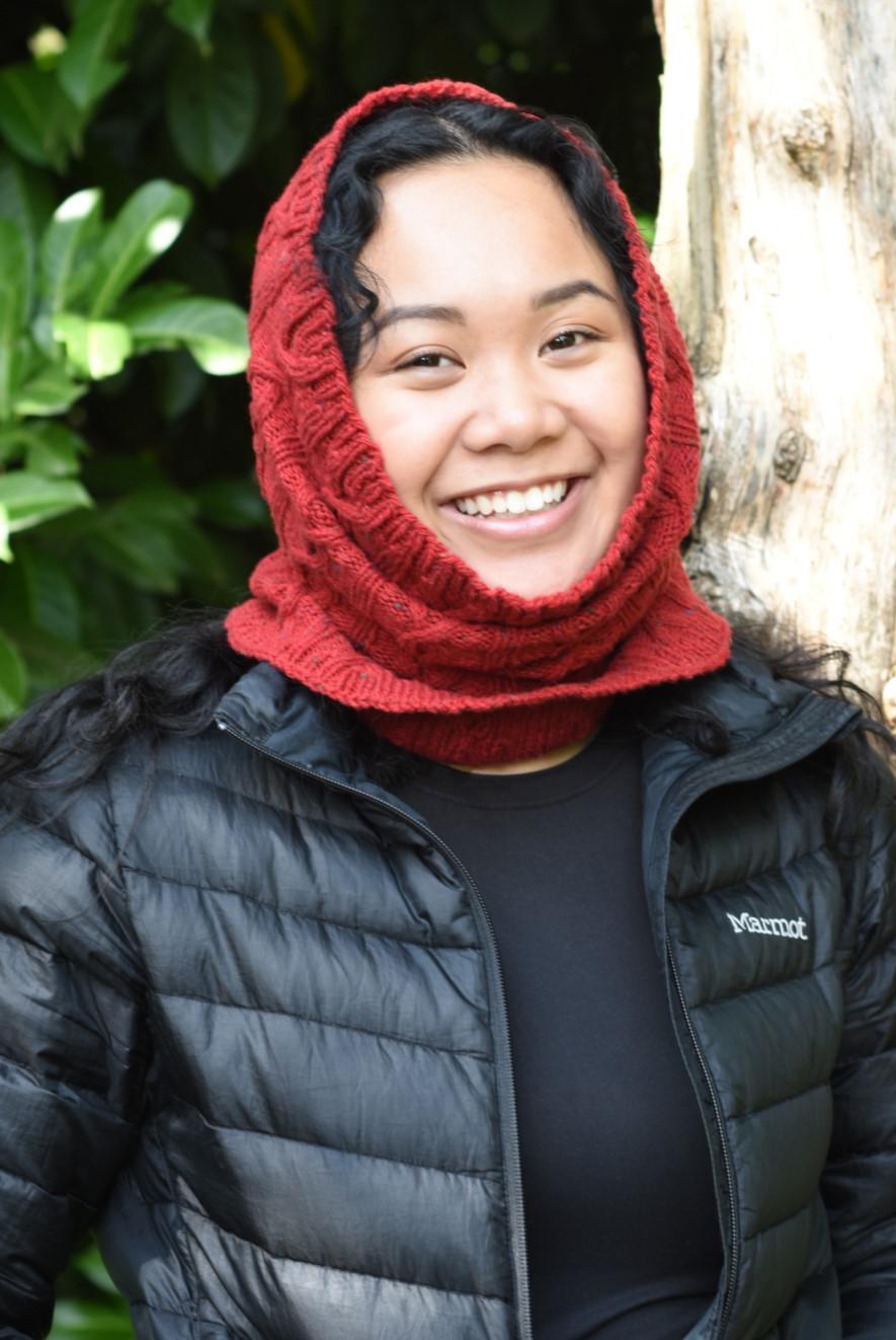 Cascade Yarns DK Cabled Sneed Cowl Knitting Pattern