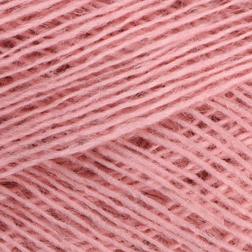 Bluch (9128)
