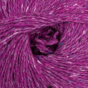Fuchsia (K0011)
