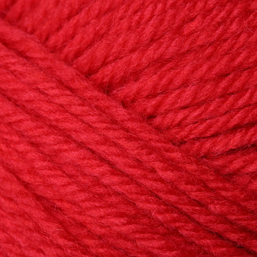 Raspberry (139)