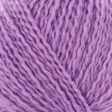 Lilac (517118)
