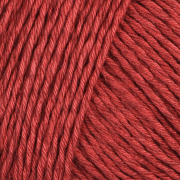 Scarlet Rose (90)