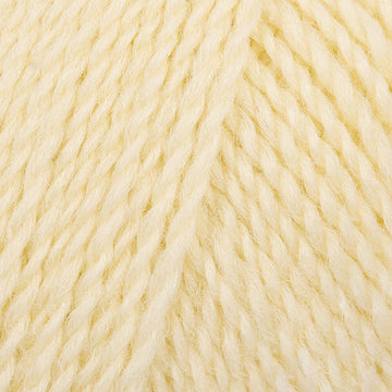 Vanilla Custard (21)