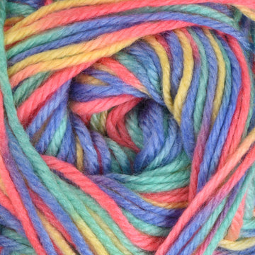 Rainbow Brights (505)