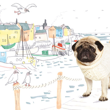 Debbie Bliss Aran Doggy Knitting Pattern
