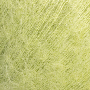 Dill (23)