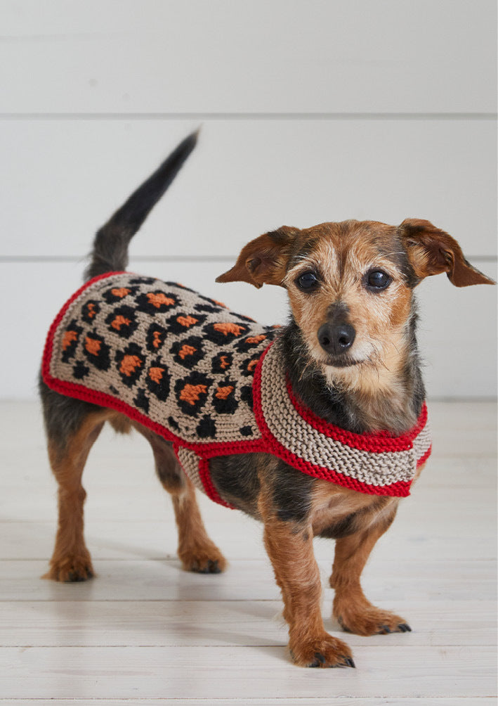 Debbie Bliss Leopard Pooch Knitting Pattern