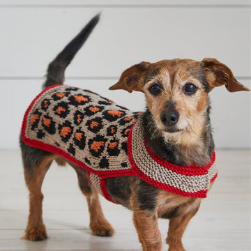 Debbie Bliss Leopard Pooch Knitting Pattern