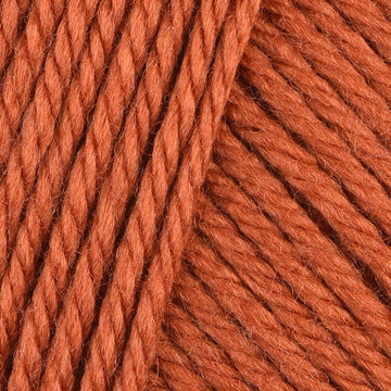 Bronze (12)