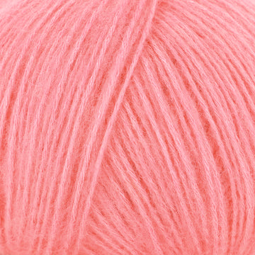 Rose (5)