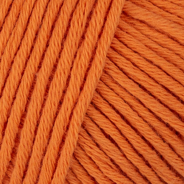 Orange (99)