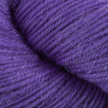 Purple Hyacinth (5625)