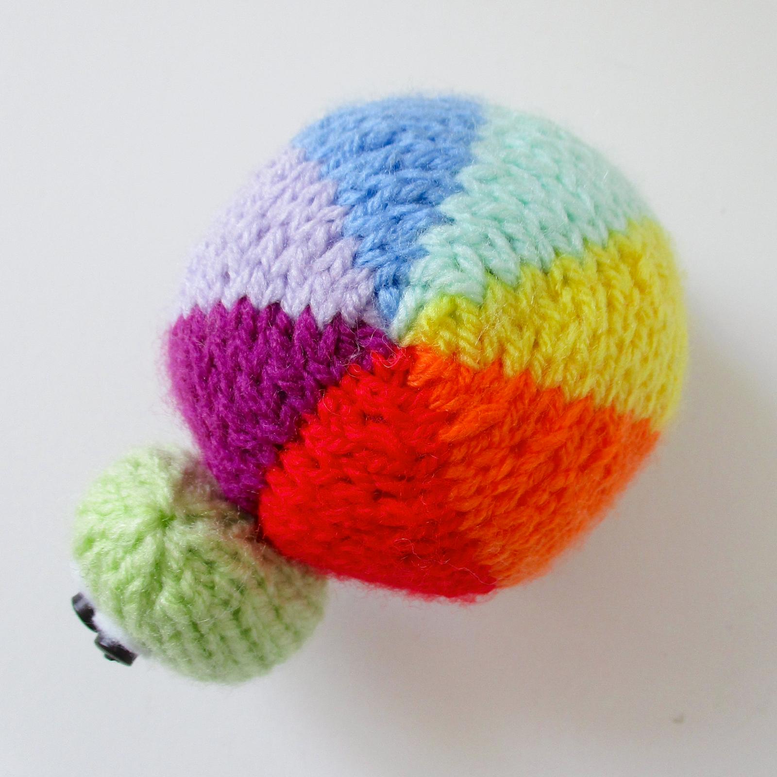 Rainbow Tortoise