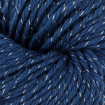 Dark Blue and Silver (305)