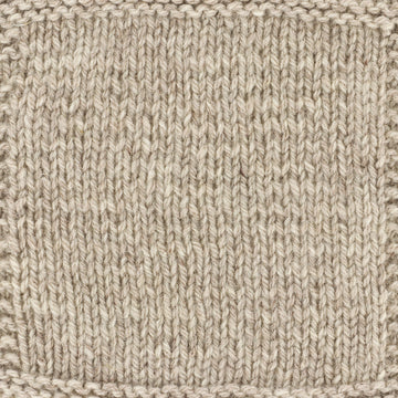 Cascade Yarns Eco Merino DK