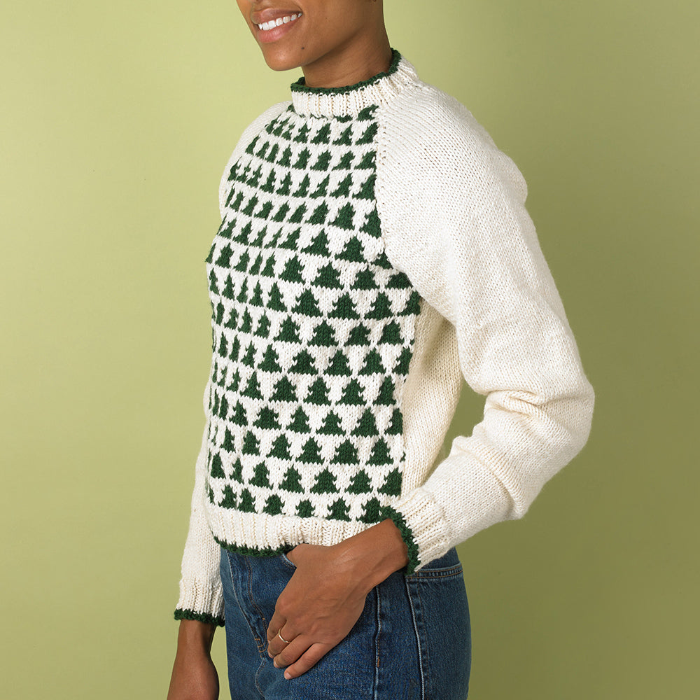 Paintbox Yarns Sleigh Ride Jumper Knitting Pattern