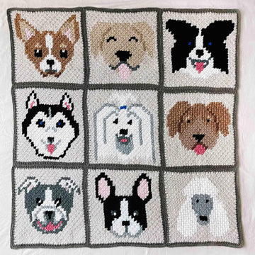 C2C Border Collie / Australian Shepard Dog Blanket Square