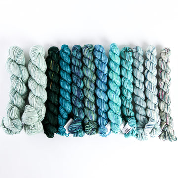 Koigu Grevillea Shawl Set Yarn - Merino Wool 4 Ply