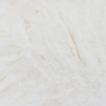 Coconut (4365)