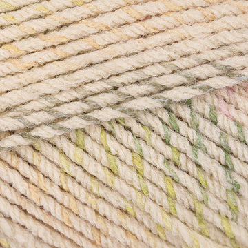 Lichen (6209)