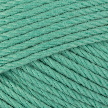 Choo Choo Train (419)