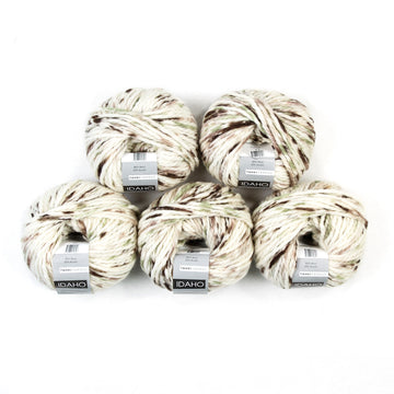 Tahki Yarns Idaho 5 Ball Value Pack Yarn - Wool Chunky
