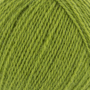 Kiwi (66)