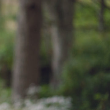 Berroco Portfolio Vol. 5 PDF