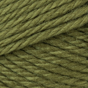 Olive (10)
