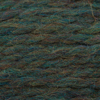 Lichen (9338)