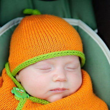 SnuggleBug Car Seat Cozy