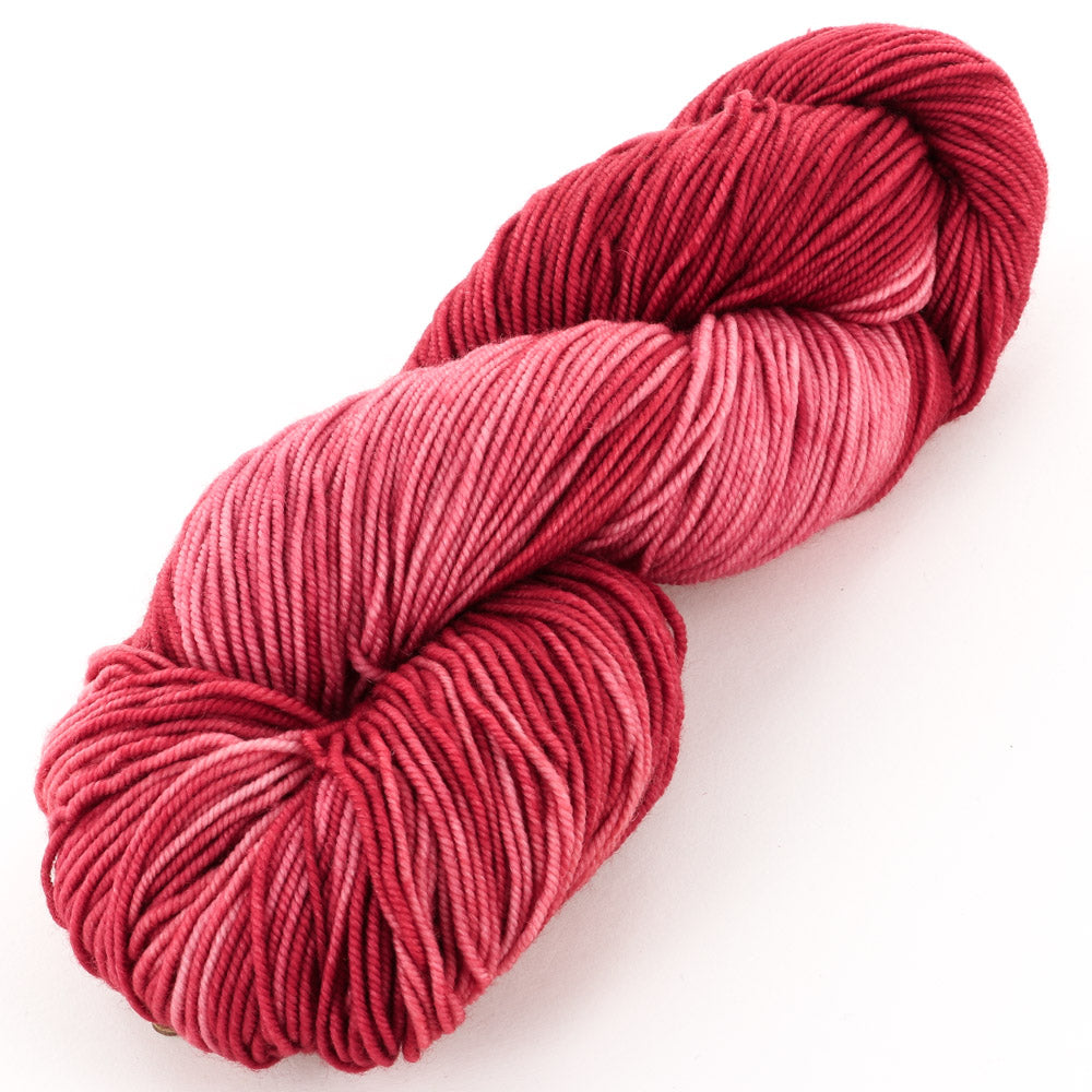 Araucania Huasco DK Kettle Dyes Yarn - Superwash Merino DK