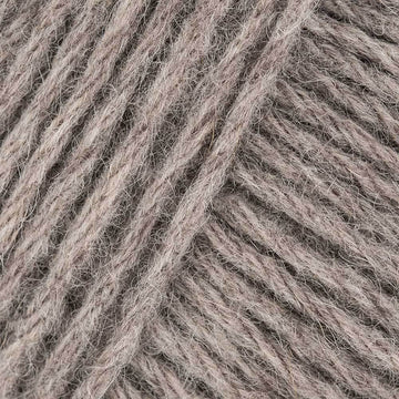 Wallnuss / Walnut (58M)