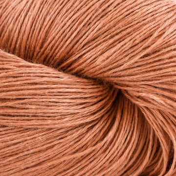 Dusted Apricot (119)