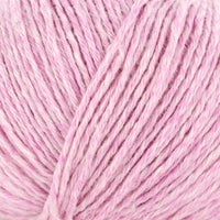 Carnation (25)