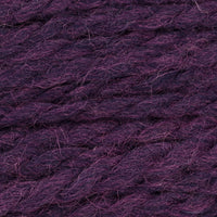Aster (9607)