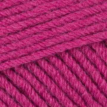 Fuchsia (09)