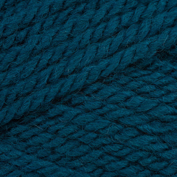 Kingfisher (769)
