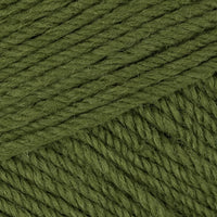 Bayleaf (Dupl3088)