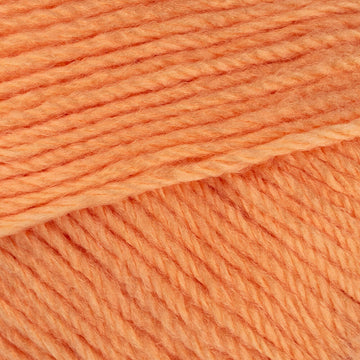 Orange Chiffon (83)