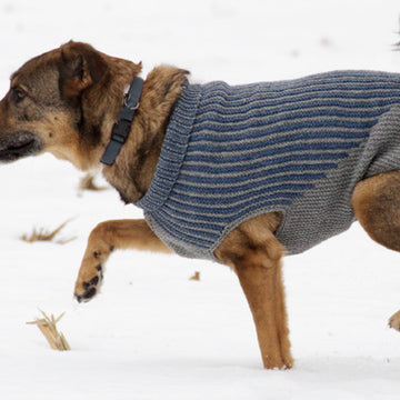 Blue Sky Fibers Bird Island Dog Sweater PDF