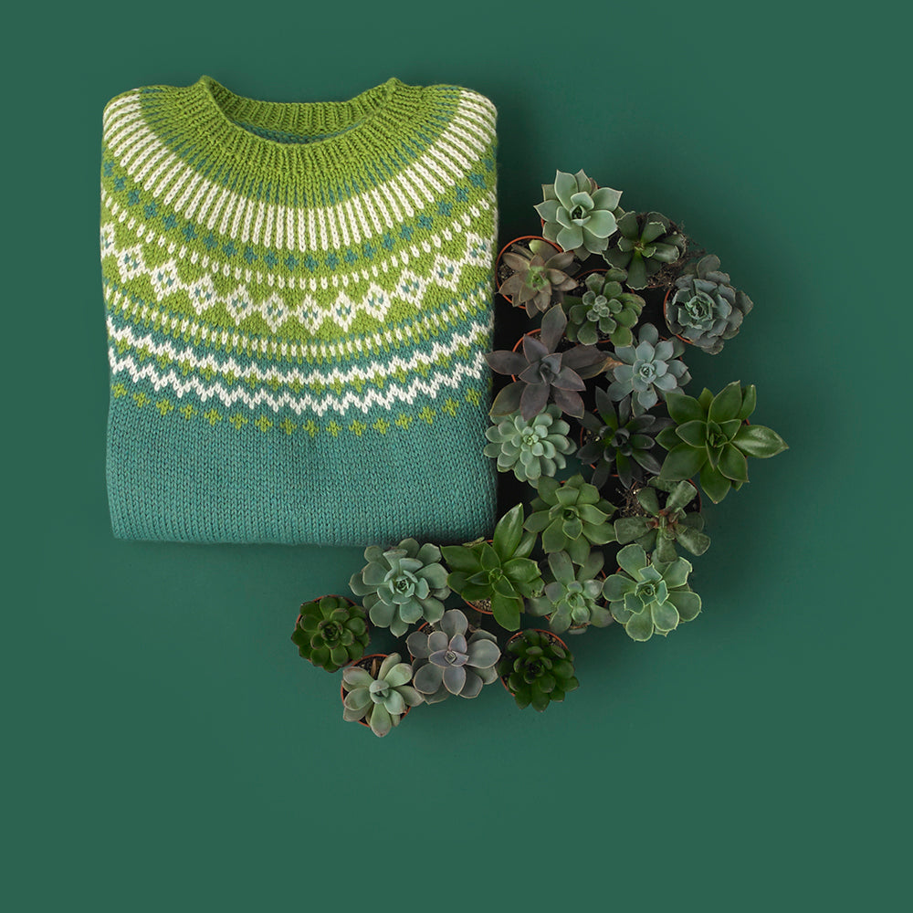 Paintbox Yarns Forest Fairisle Yoke Jumper Knitting Pattern