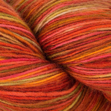 Snow Bird (228)