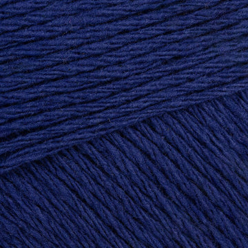 Night Blue (1304)