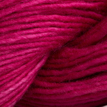 Cactus Flower (3211)