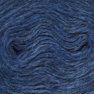 Winter Blue Heather (1432)