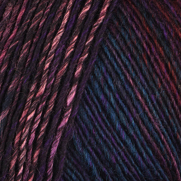 Sedum (6883)