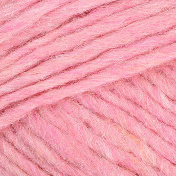 Winter Morning (1239)