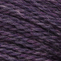 Shrimp (7804)