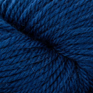 Blue Bird